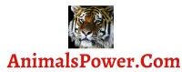 Animals Power