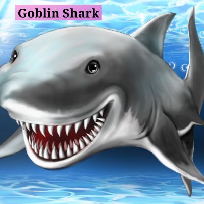 Goblin Shark